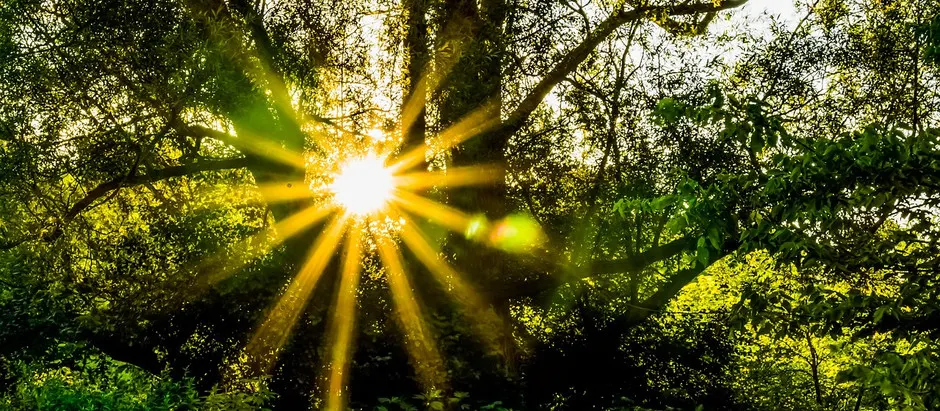 Refining PTSD Treatment, Struggles With Sobriety, and Glimmers of Hope